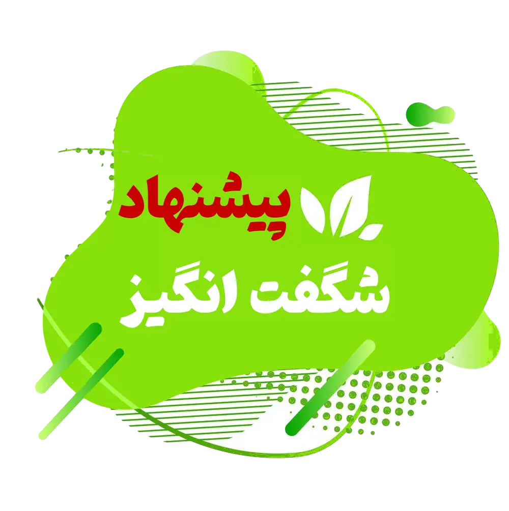 پیشنهاد شگفت انگیز